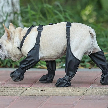 Bottes imperméables pour chiens