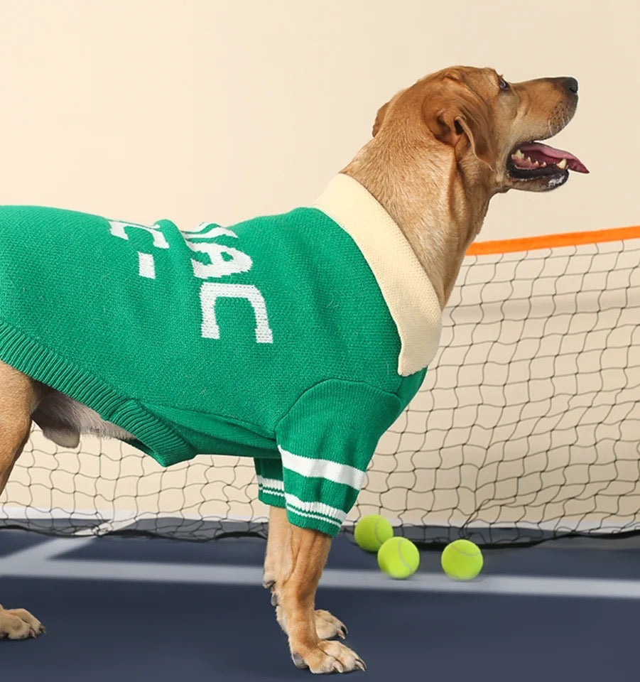 Chandail polo pour chien - Marley