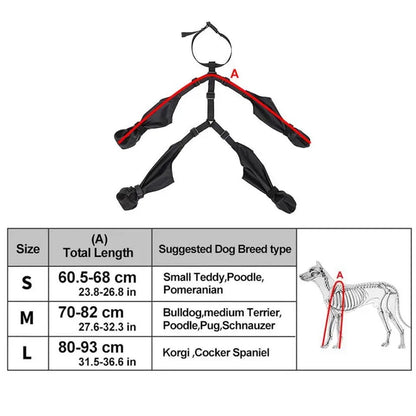 Bottes imperméables pour chiens