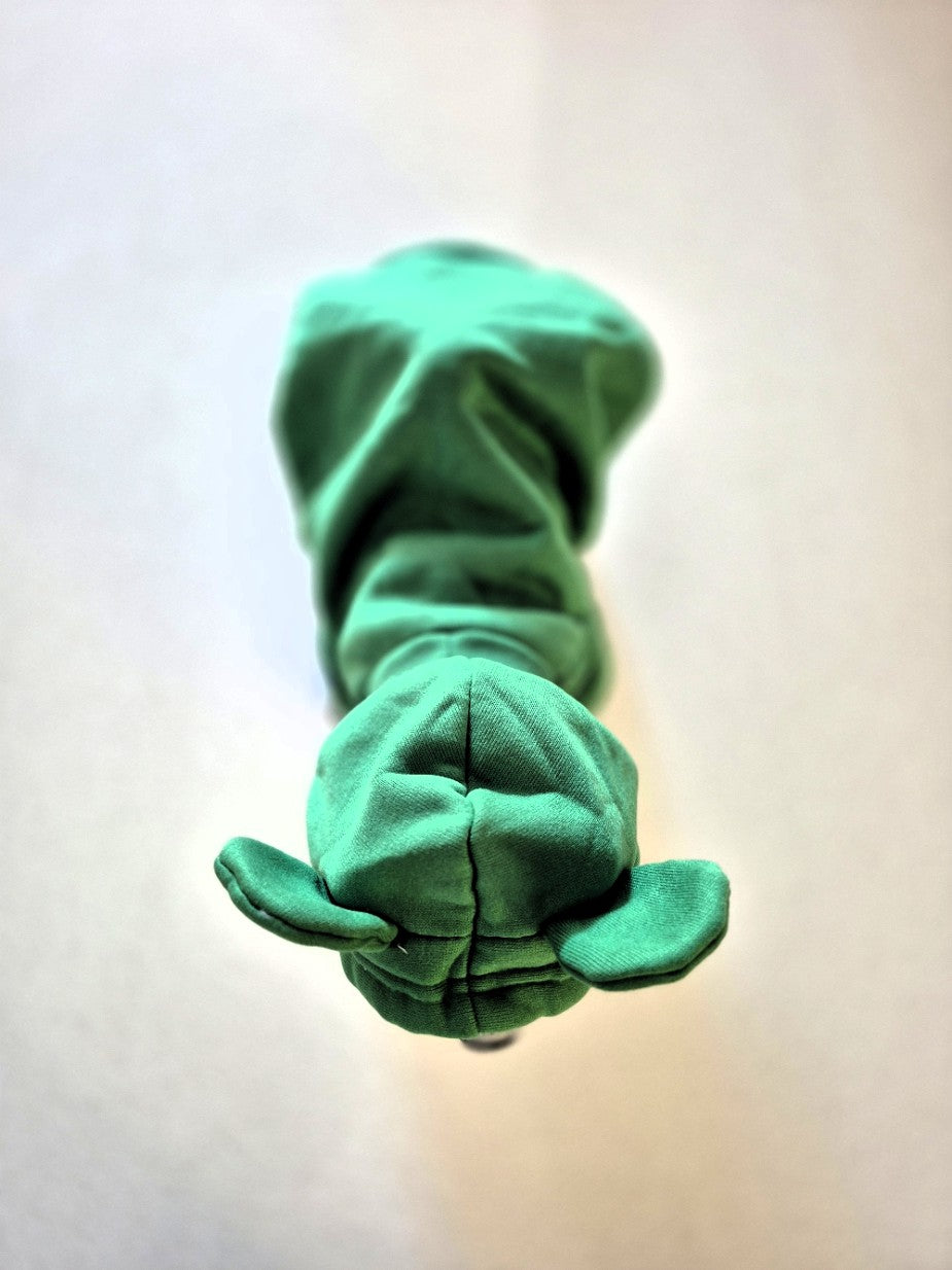 Déguisement de Grenouille