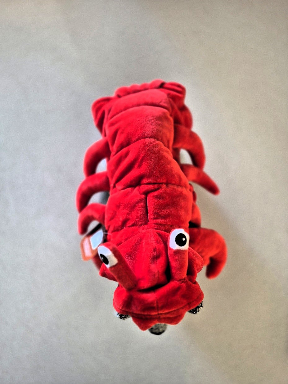 Lobster Costume