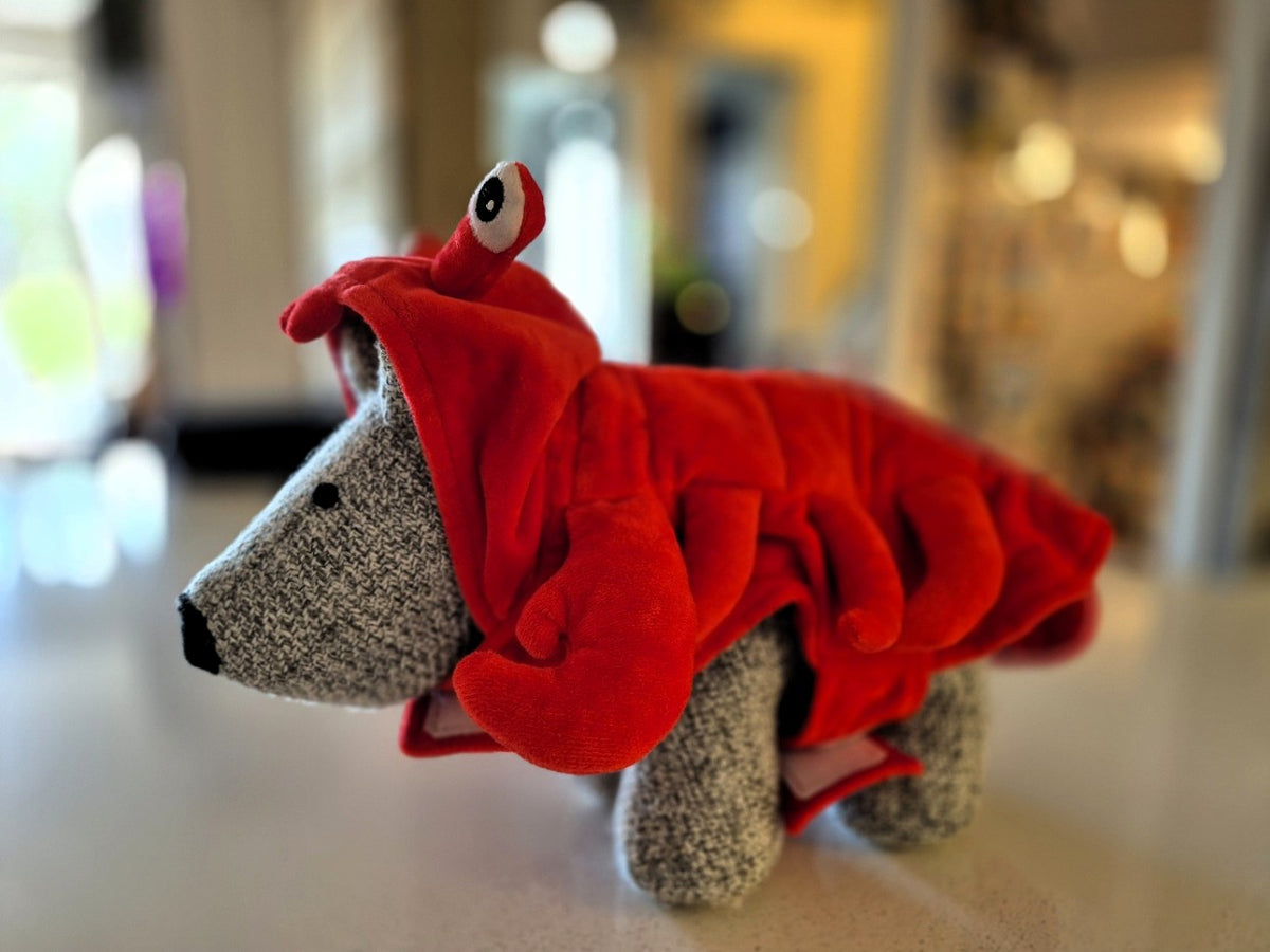 Lobster Costume