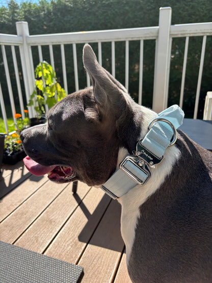 Collier tactique 1.5po avec poignée - Bleu bébé