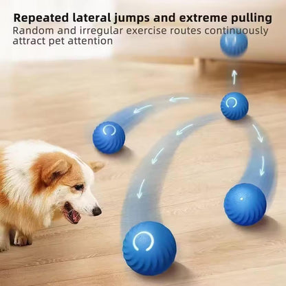 Jouet vibrants en forme de balle pour chien et chat - rechargeable
