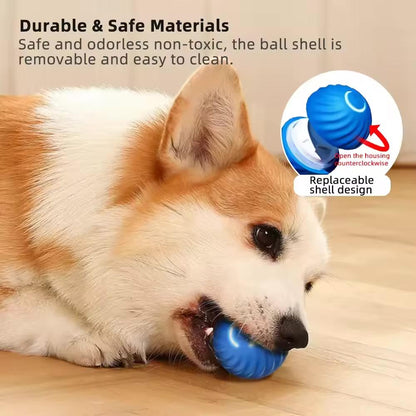 Jouet vibrants en forme de balle pour chien et chat - rechargeable