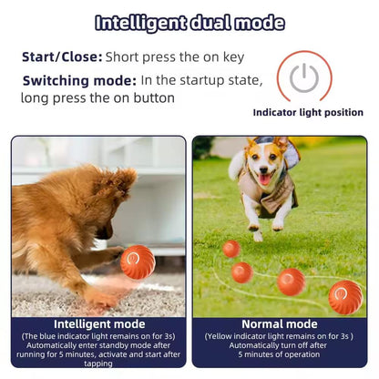 Jouet vibrants en forme de balle pour chien et chat - rechargeable