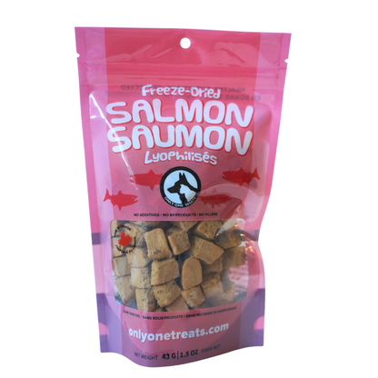 Gâteries déhydratées à froid - Saumon - 43g