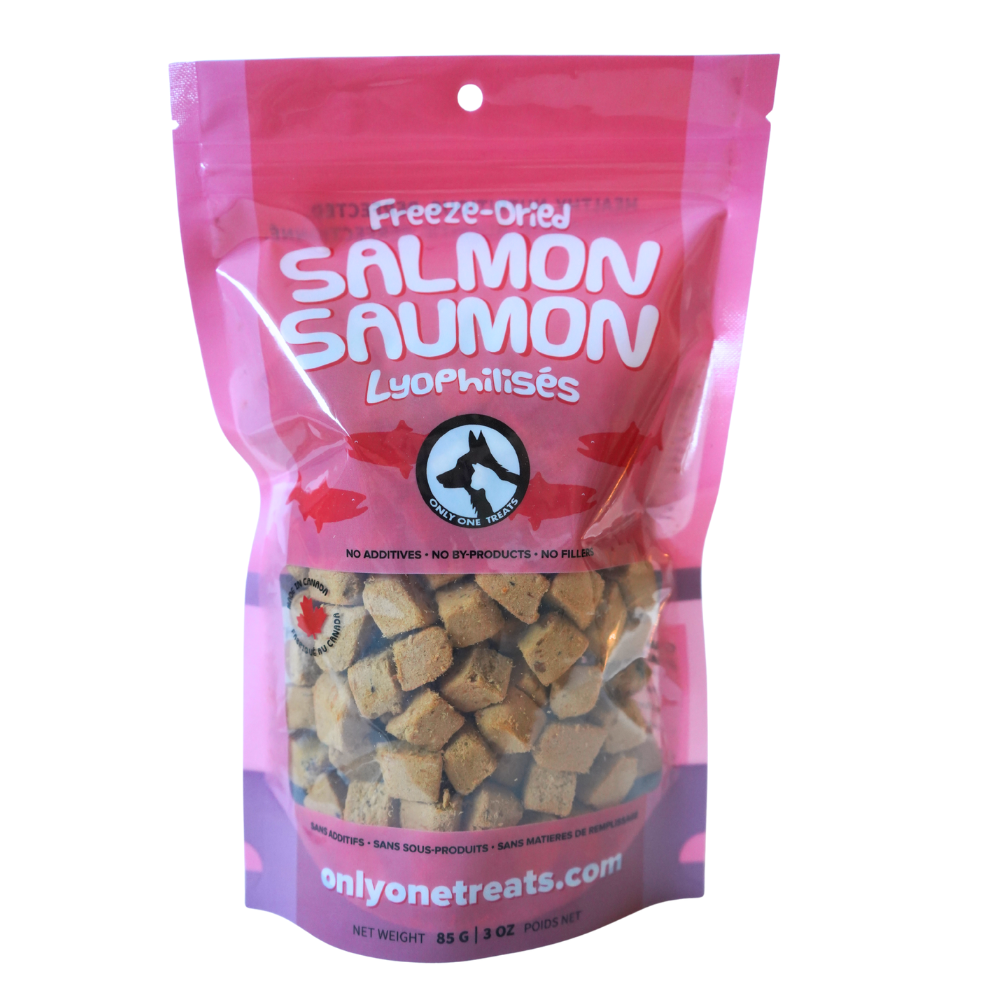 Gâteries déhydratées à froid - Saumon - 85g