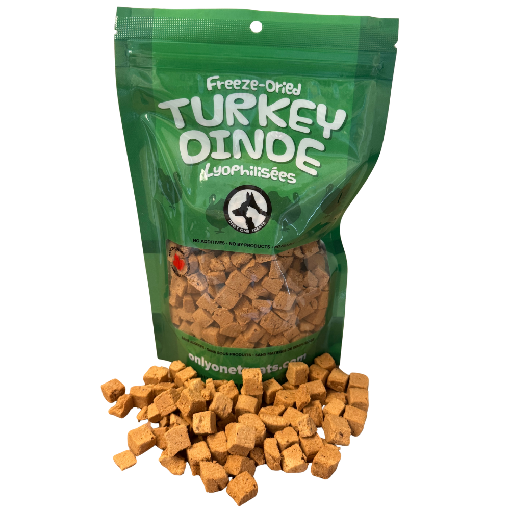 Gâteries déhydratées à froid - Dinde - 85g