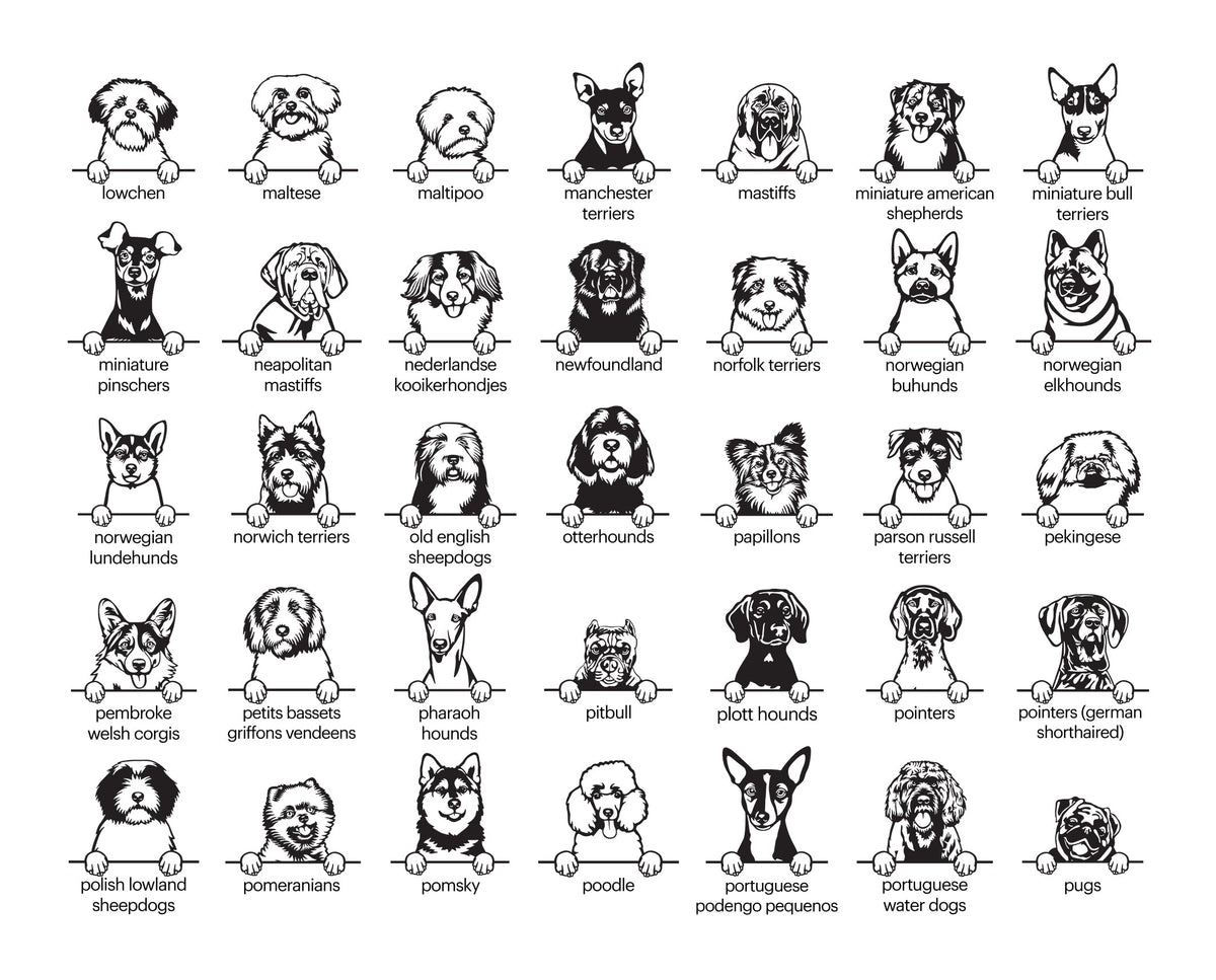 Aimant personnalisé (Race de chien)
