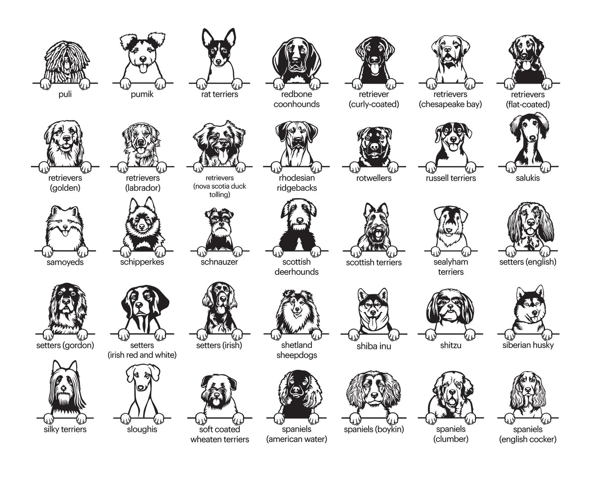 Aimant personnalisé (Race de chien)