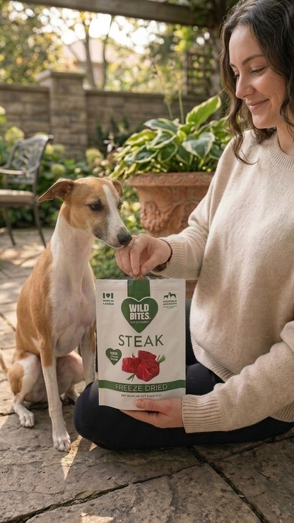 Gâteries déshydratées à froid - Steak