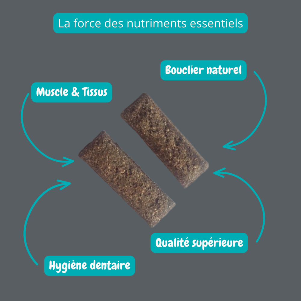 Biscuit au foie de porc