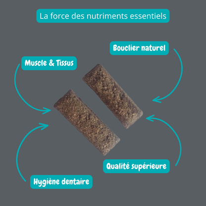 Biscuit au foie de porc