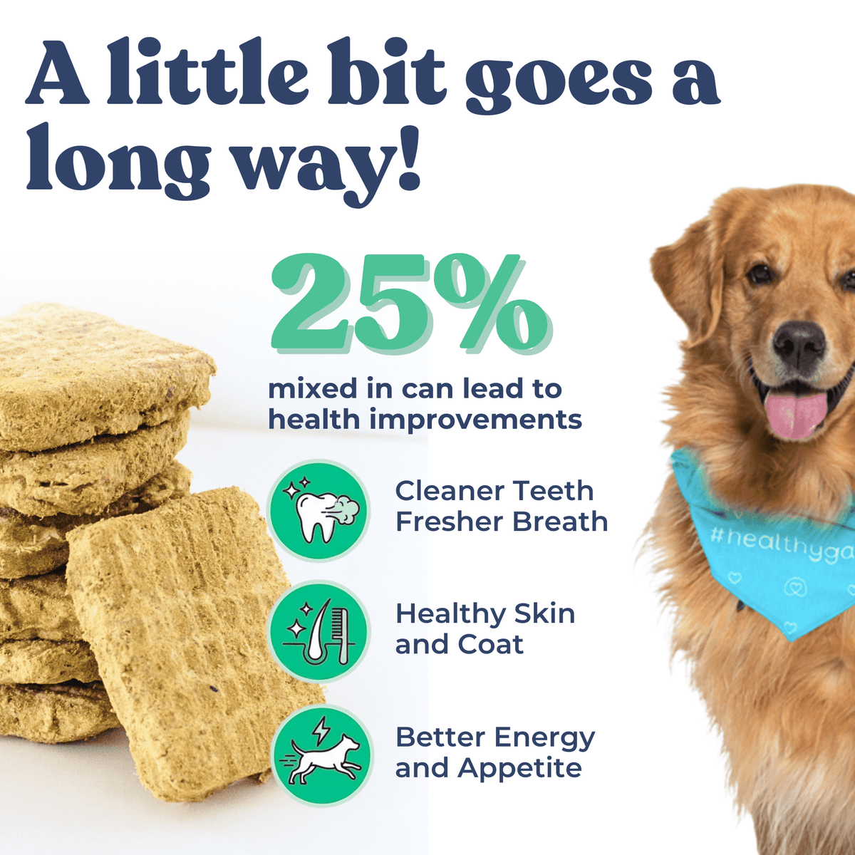 Repas pour chien - Patés de boeuf