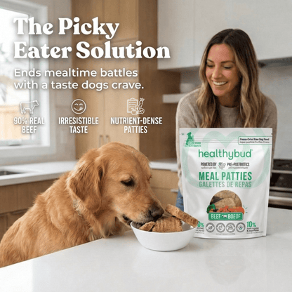 Repas pour chien - Patés de boeuf