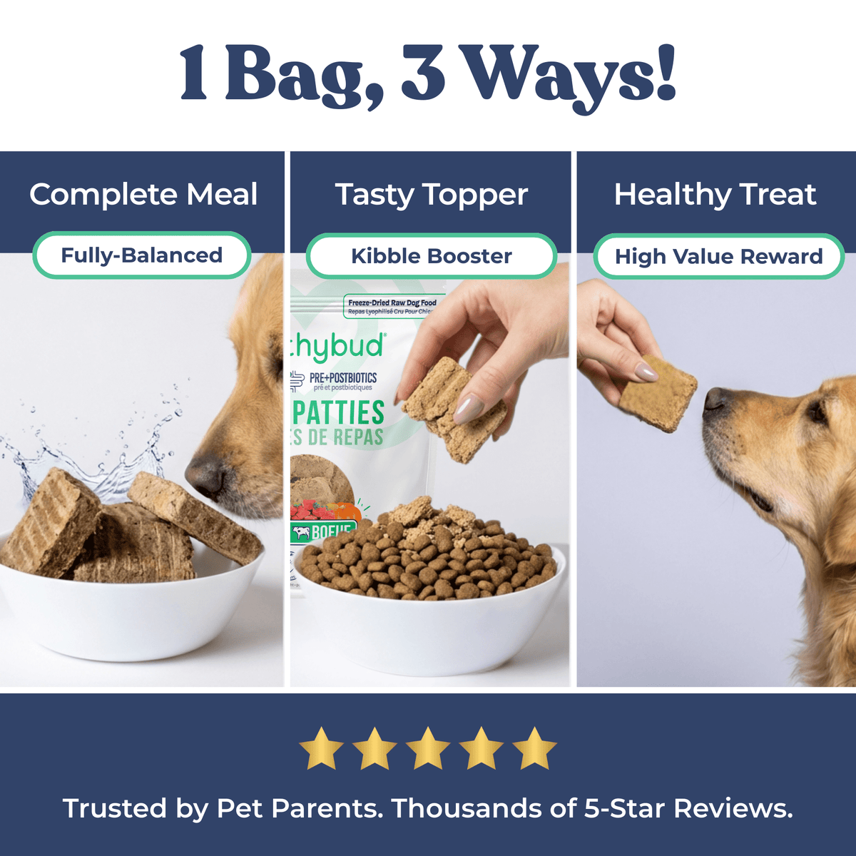 Repas pour chien - Patés de boeuf