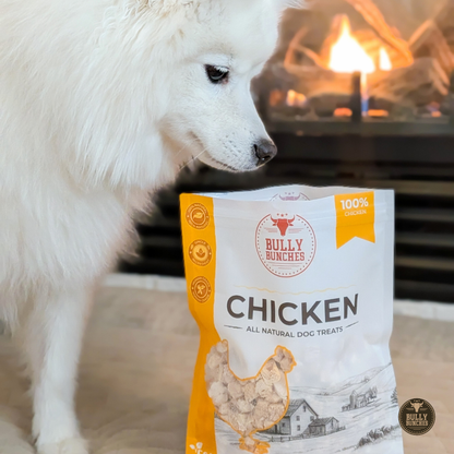 Gâteries déshydratées - Poulet - 100g / 3.5oz