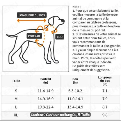 Déguisement "Rodéo Canin"
