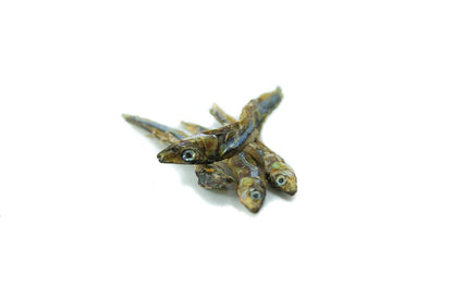 Sardines déshydratées -  40g