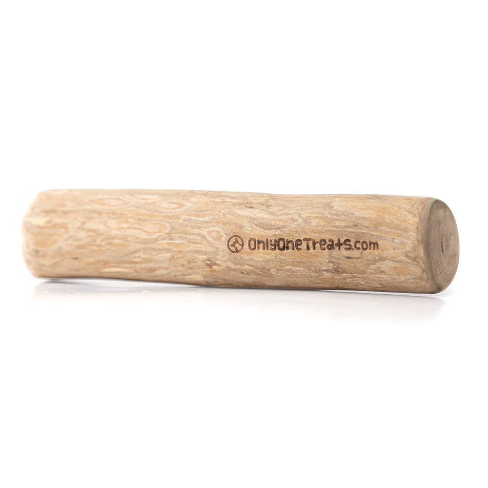 Bâton à mâcher en bois de caféier - XL