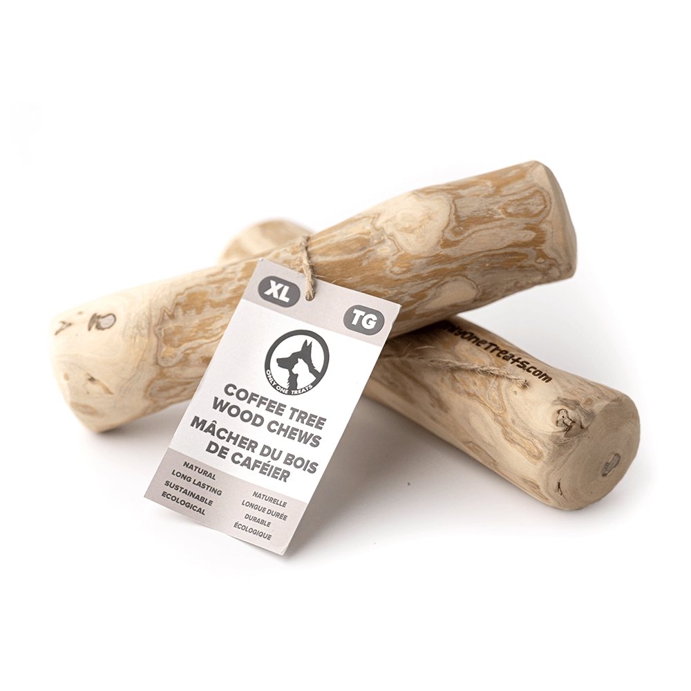 Bâton à mâcher en bois de caféier - XL