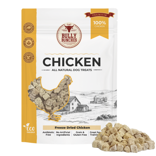 Gâteries déshydratées - Poulet - 100g / 3.5oz