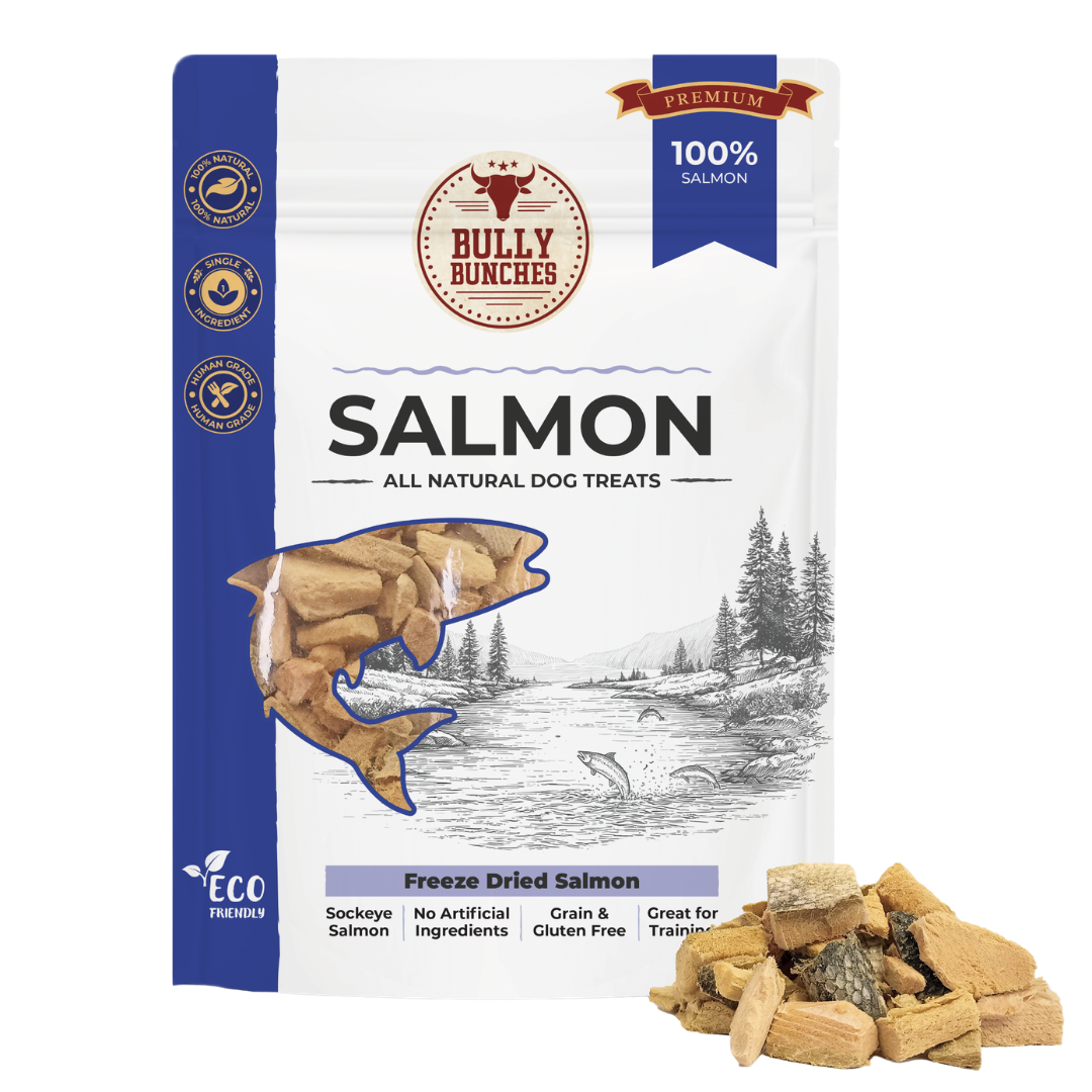 Gâteries déshydratées à froid - Saumon - 100g / 3.5oz