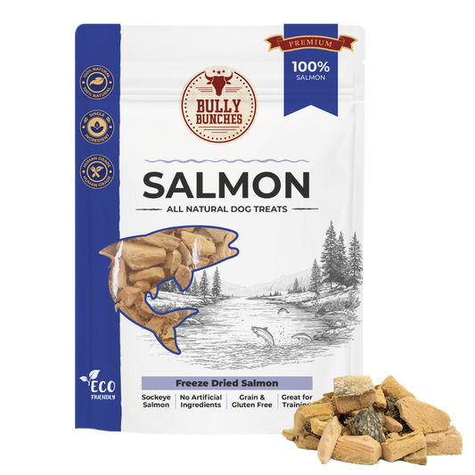 Gâteries déshydratées à froid - Saumon - 100g / 3.5oz
