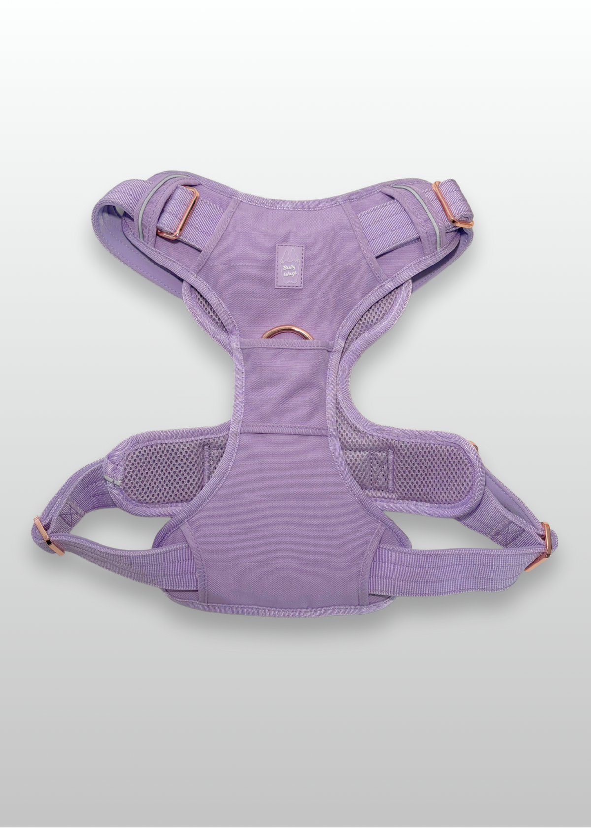 Harnais "Heavy-Duty Everyday" - Lilas (Mauve)