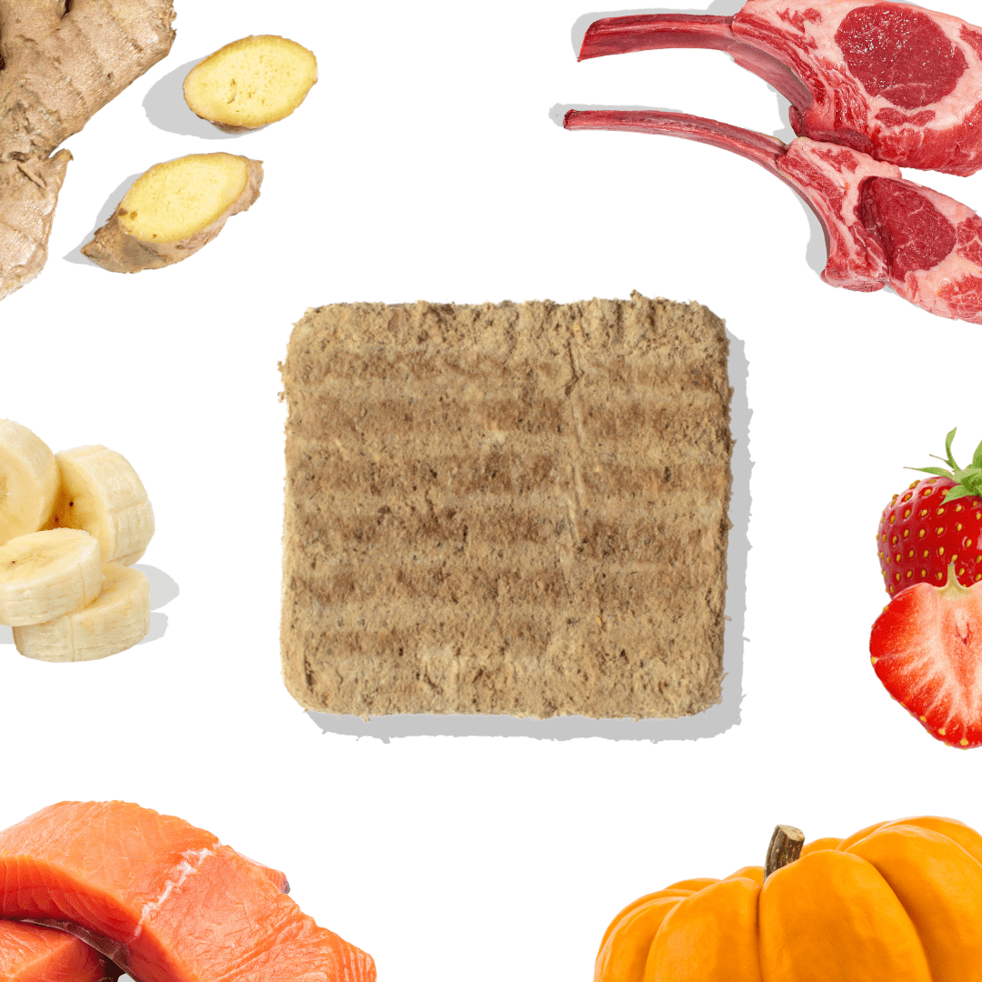 Repas pour chien - Pâtés de saumon et agneau