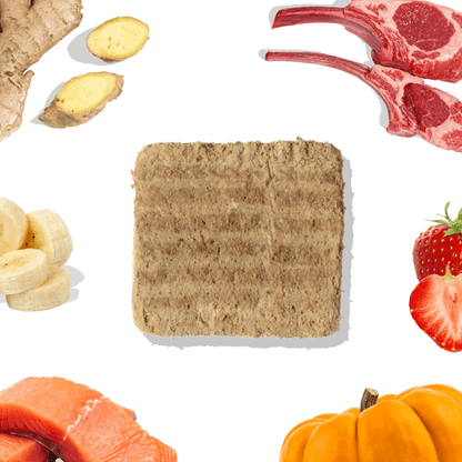 Repas pour chien - Pâtés de saumon et agneau