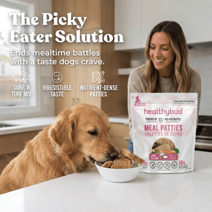 Repas pour chien - Pâtés de saumon et agneau