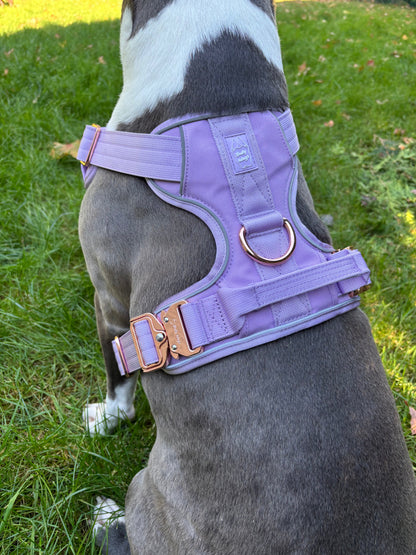 Harnais "Heavy-Duty Everyday" - Lilas (Mauve)