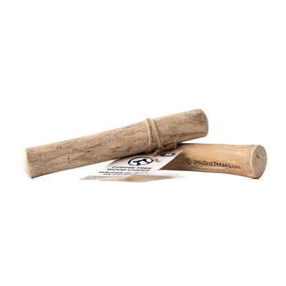 Bâtons à mâcher en bois de caféier - Medium