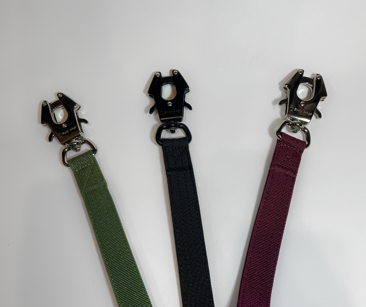 Laisse Tactique - Vert Cactus