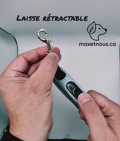 Laisse rétractable pour petits chiens