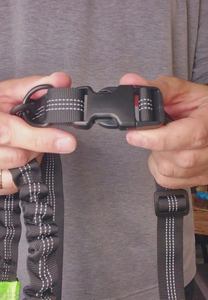 Laisse de taille avec "Bungees" (Laisse Mains-Libres)