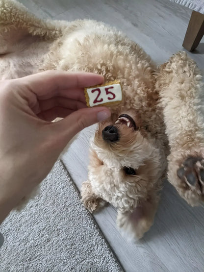 Calendrier de l'Avant 2026 pour chien