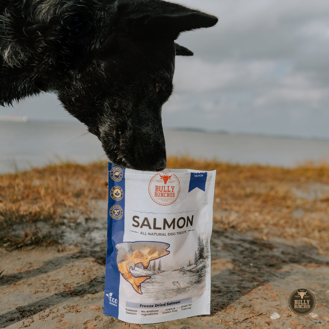 Gâteries déshydratées à froid - Saumon - 100g / 3.5oz