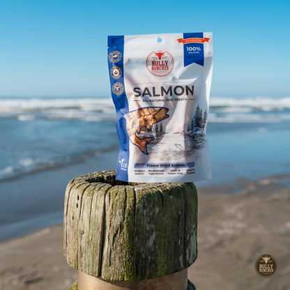 Gâteries déshydratées à froid - Saumon - 100g / 3.5oz