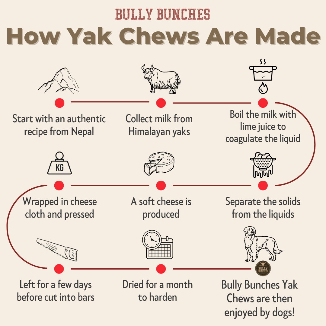 Gâteries à mâcher - Lait de Yak - (MEDIUM)